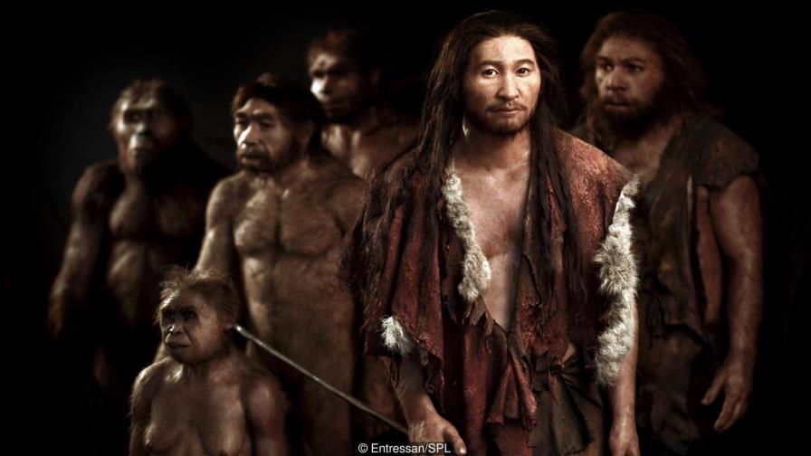 Los humanos modernos llegaron a Sumatra hace más de 60.000 años