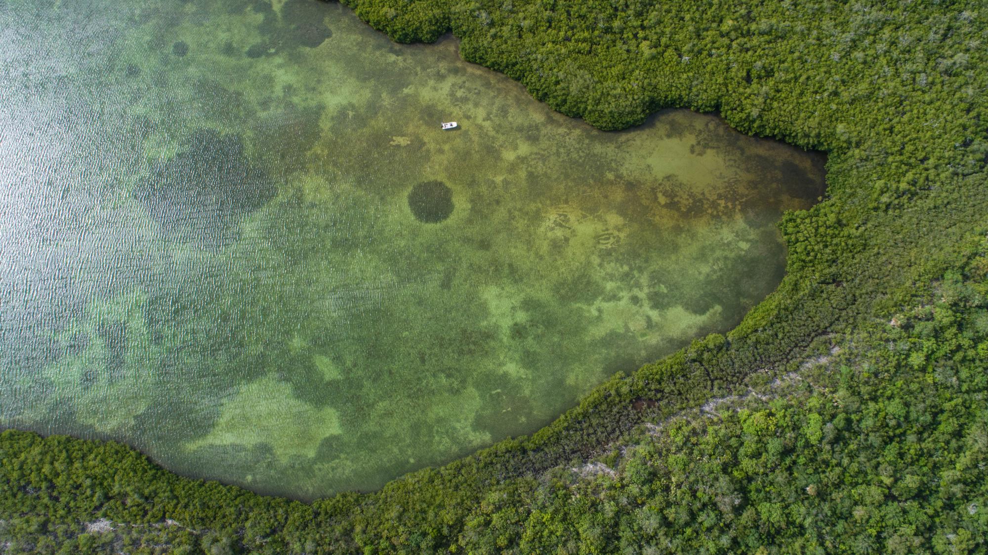La Lengüeta vista desde el aire.