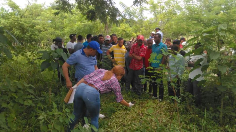 Hallan hombre muerto con brazos mutilados en Hato Mayor