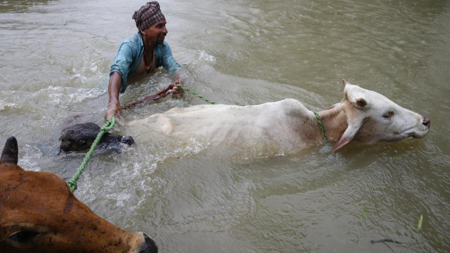 Unos 600 turistas atrapados en parque natural por inundaciones en Nepal