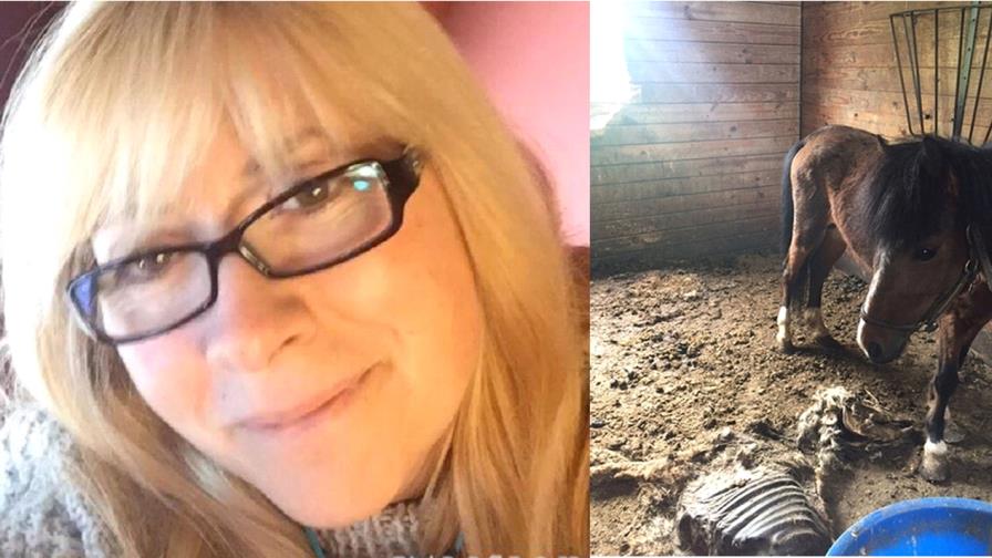 Arrestan en Nueva York a policía que dejó morir de hambre  a 11 caballos 