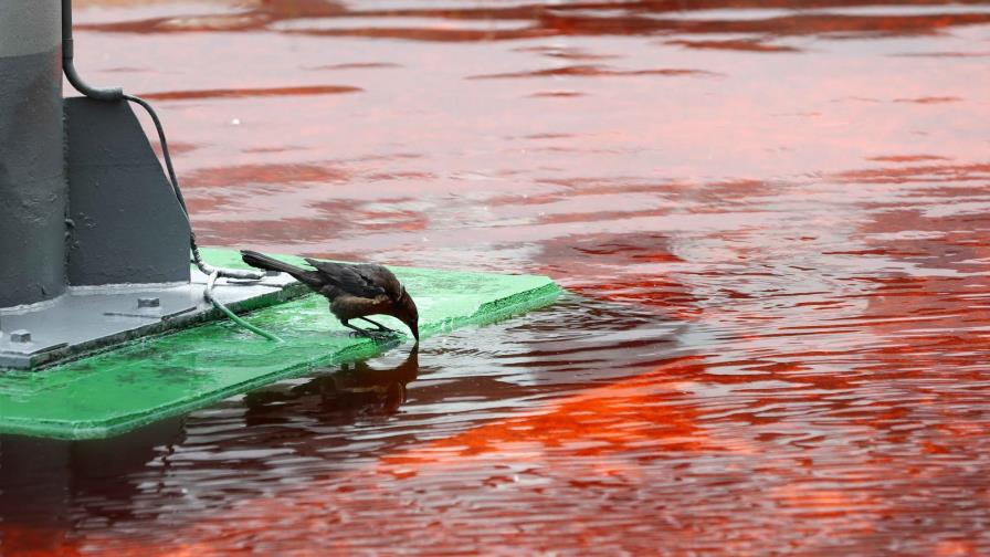 Tiñen de rojo agua de fuente para protestar por contaminación en Costa Rica 