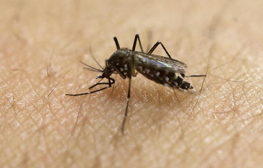 Descubren en Brasil sustancia capaz de bloquear la reproducción del zika 