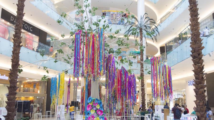 Continúan brotando ramas de solidaridad Continúan brotando ramas de solidaridad