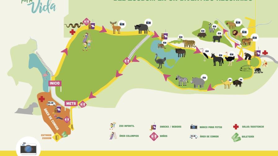 Pasos solidarios, un camino a la felicidad Pasos solidarios, un camino a la felicidad