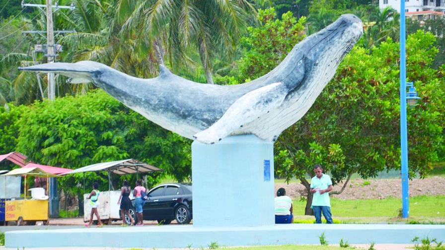 Un paraíso al noreste de RD