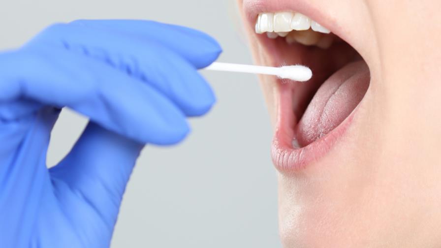 Descubren una molécula de la saliva que ayuda a cicatrizar heridas Descubren una molécula de la saliva que ayuda a cicatrizar heridas