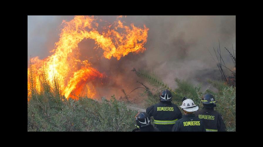 La reforestación agrava los incendios forestales