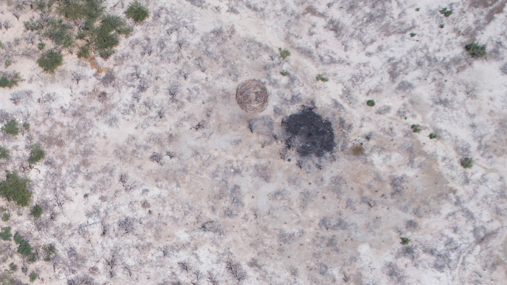 Un círculo de madera indica el punto donde se construye un horno, justo al lado de uno hecho recientemente.
