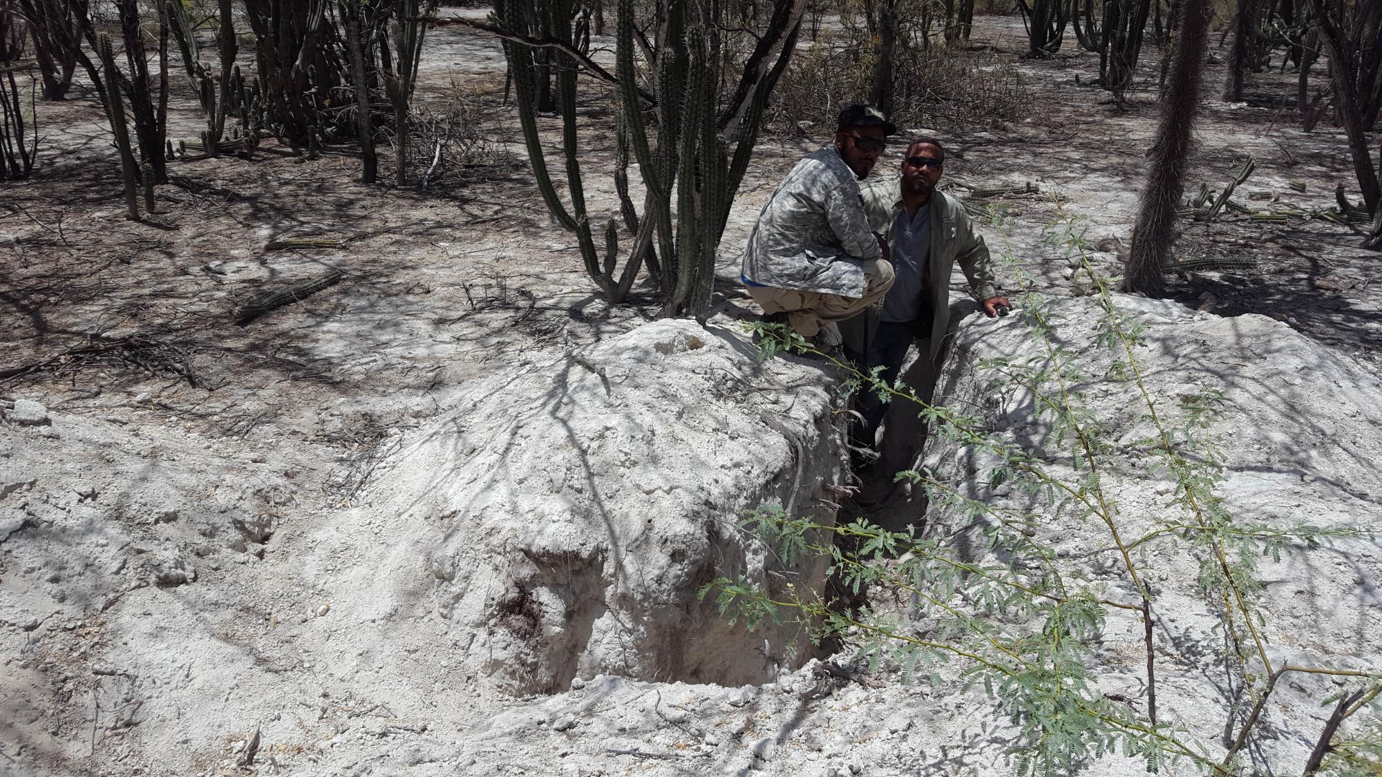 Los hermanos Vólquez han denunciado muchas veces ante las autoridades la caza ilegal de iguanas de ricord y rinoceronte en la Reserva de la Biósfera.