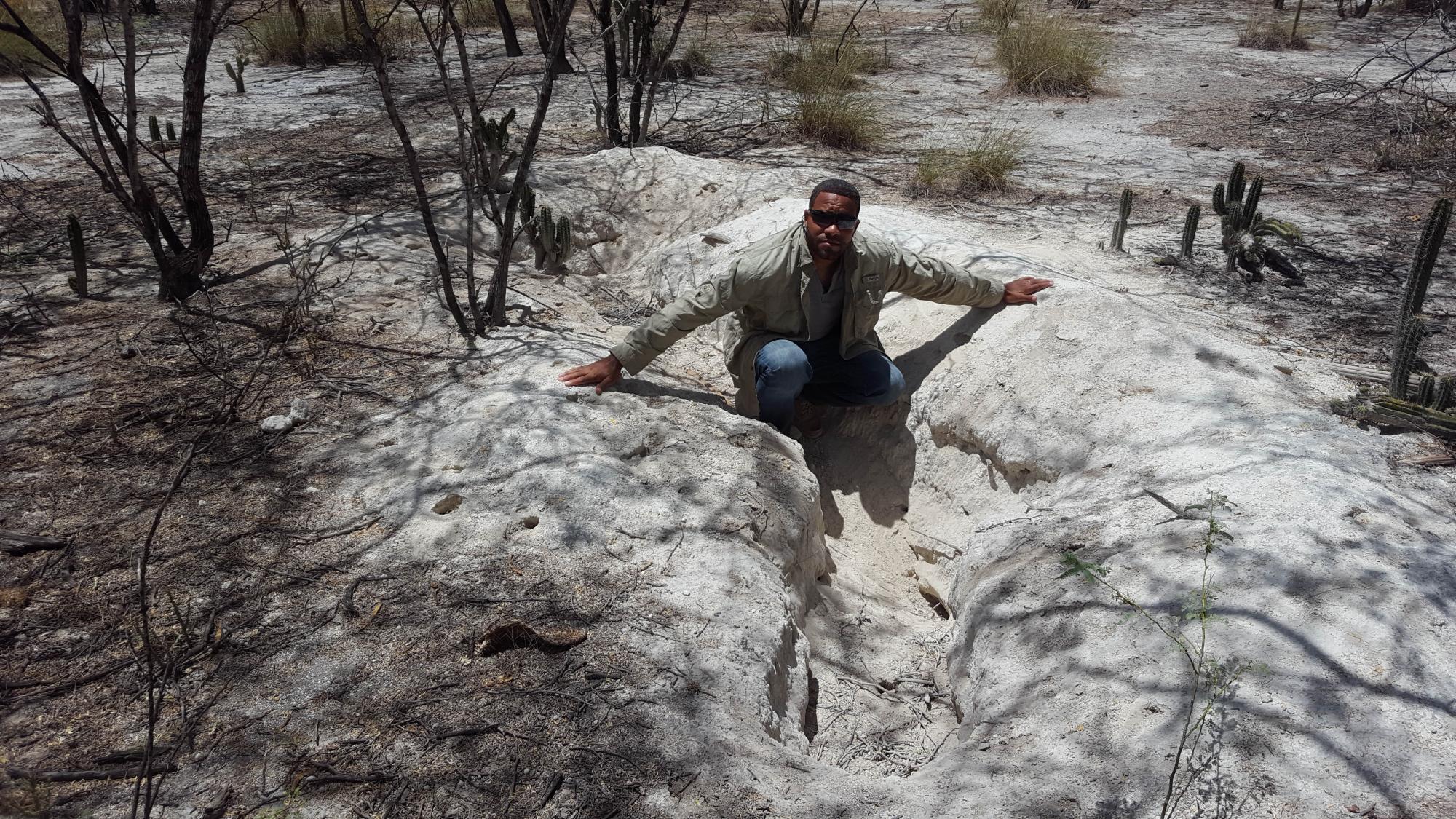 Anibal Vólquez de Grupo Jaragua muestra una madriguera de muchas destruidas dentro de la reserva el 17 de agosto.