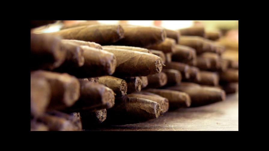 República Dominicana exportó 6 mil millones unidades cigarros