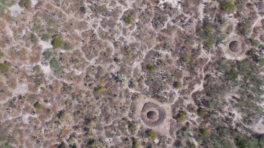 La quema de carbón “no quedará en carpeta” La quema de carbón “no quedará en carpeta”