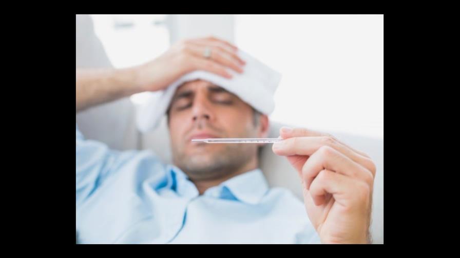 Fiebre amarilla: una amenaza real Fiebre amarilla: una amenaza real