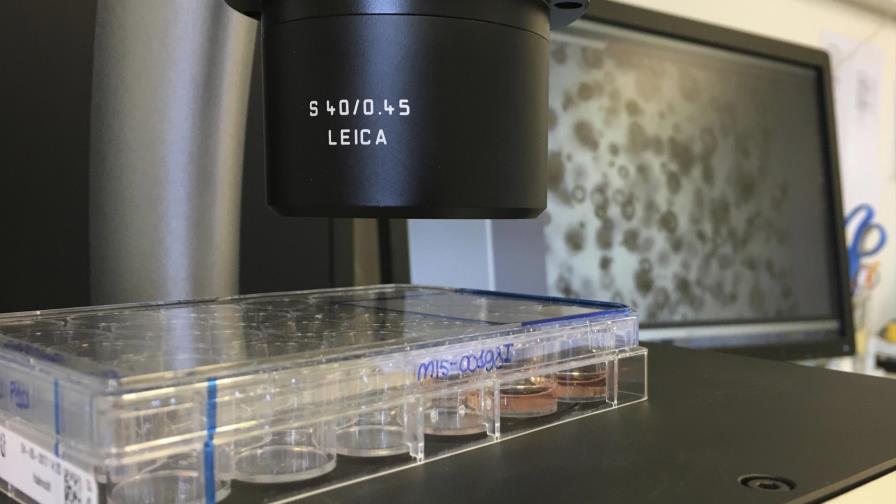 Cultivo de órganos puede ayudar a combatir enfermedades 