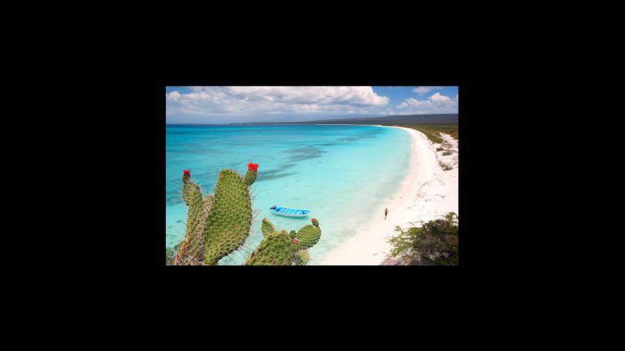 Academia de Ciencias realizará panel sobre Bahía de las Águilas