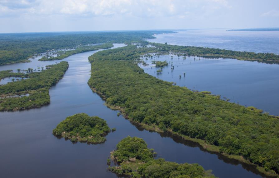 Gobierno brasileño extingue reserva natural amazónica para explorar minerales
