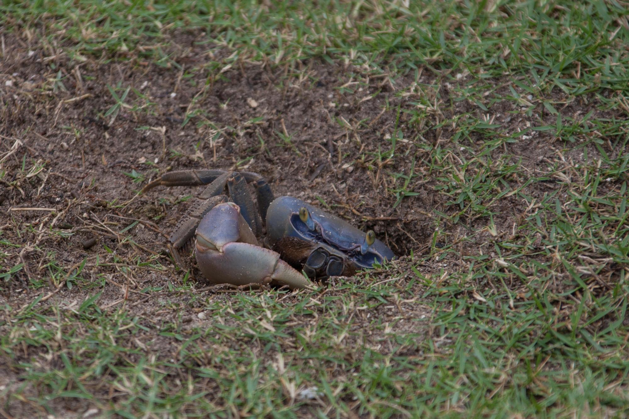 Un adulto en la entrada de una cueva.