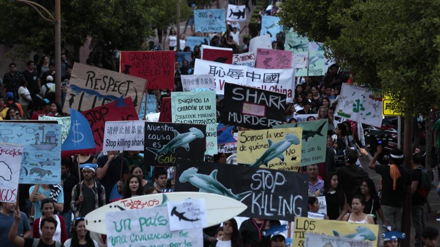 Ecuador demandará a empresa por 36,800 millones por daños a reserva marina de islas Galápagos 