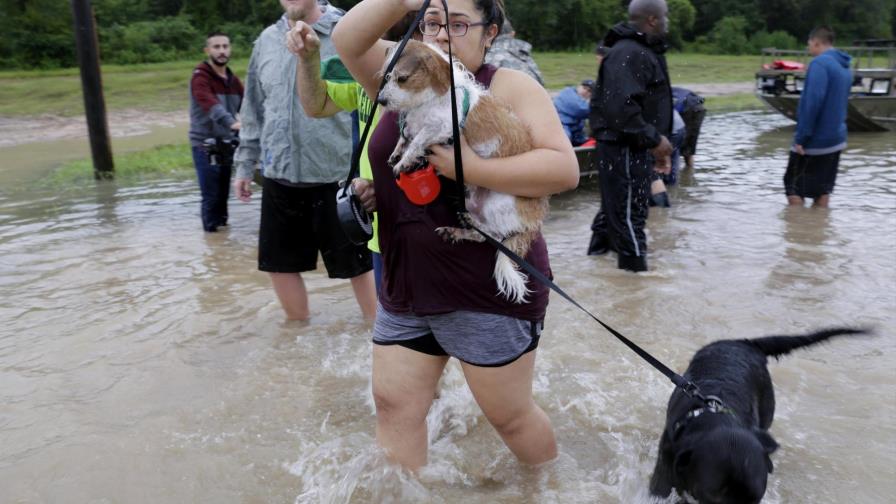 Cientos de personas esperan ser rescatados en Houston tras el paso de Harvey Cientos de personas esperan ser rescatados en Houston tras el paso de Harvey