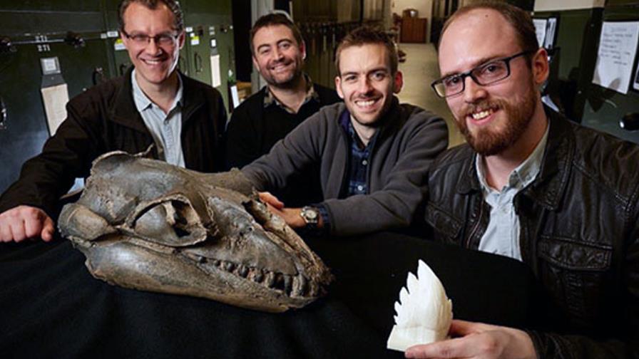 Los antepasados de las ballenas tenían dientes afilados para devorar presas