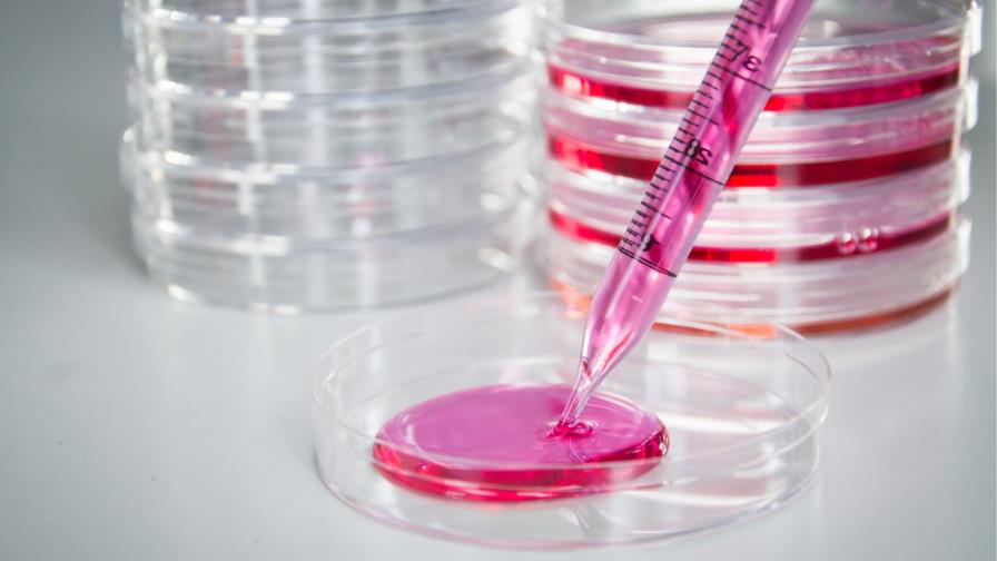 Restauran funciones nerviosas dañadas por el párkinson con células madre 