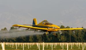 Escasez de combustible de avionetas no afecta la movilización de pasajeros en el país