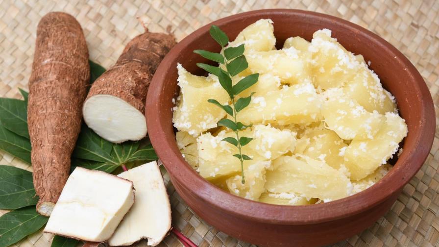 Yuca, energía tropical