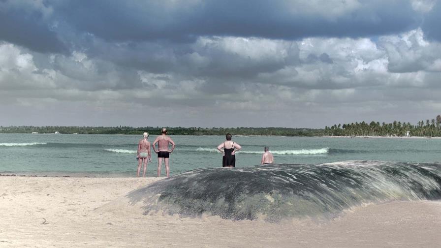 Celebrando distintas realidades en el cine 