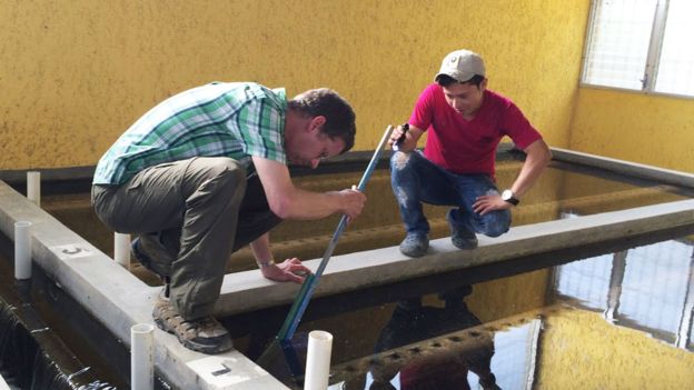 La tecnología innovadora, sin componentes móviles ni electricidad, fue creada por el ingeniero ambiental Monroe Weber-Shirk (izquierda).