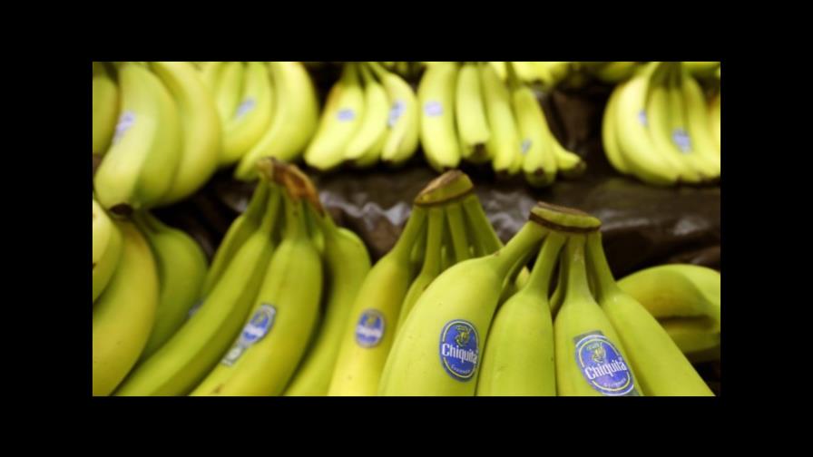 Productores bananeros emiten alertas de evacuación en fincas por paso de Irma