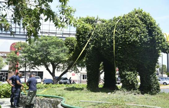 Atan a los animales del Zooberto en la víspera del huracán Irma