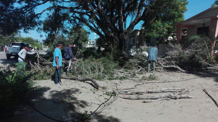 Medio Ambiente realiza labores de prevención ante huracán Irma Medio Ambiente realiza labores de prevención ante huracán Irma