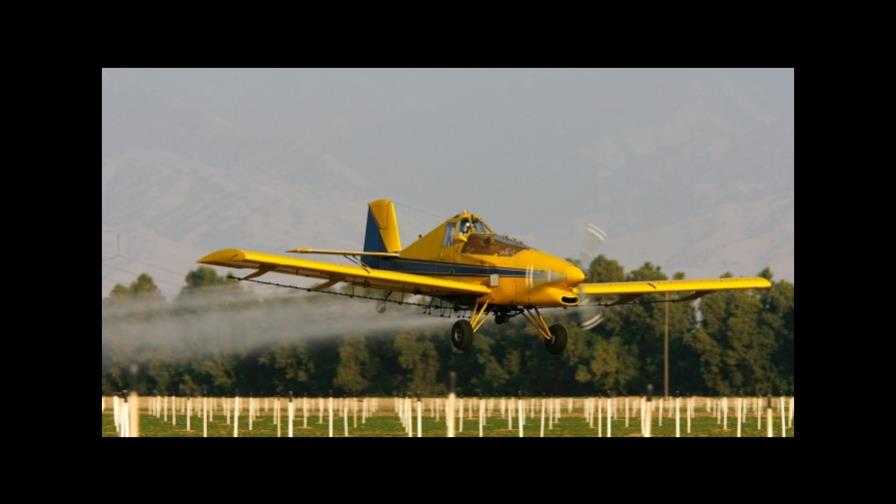 México ha autorizado 184 plaguicidas altamente peligrosos para la salud y el medio ambiente México ha autorizado 184 plaguicidas altamente peligrosos para la salud y el medio ambiente