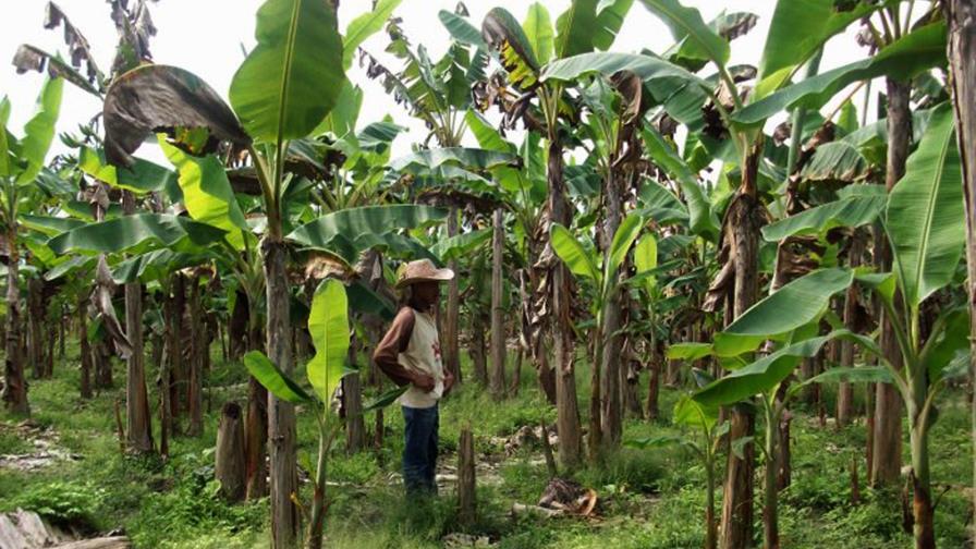 No se han reportado daños graves en el sector agrícola