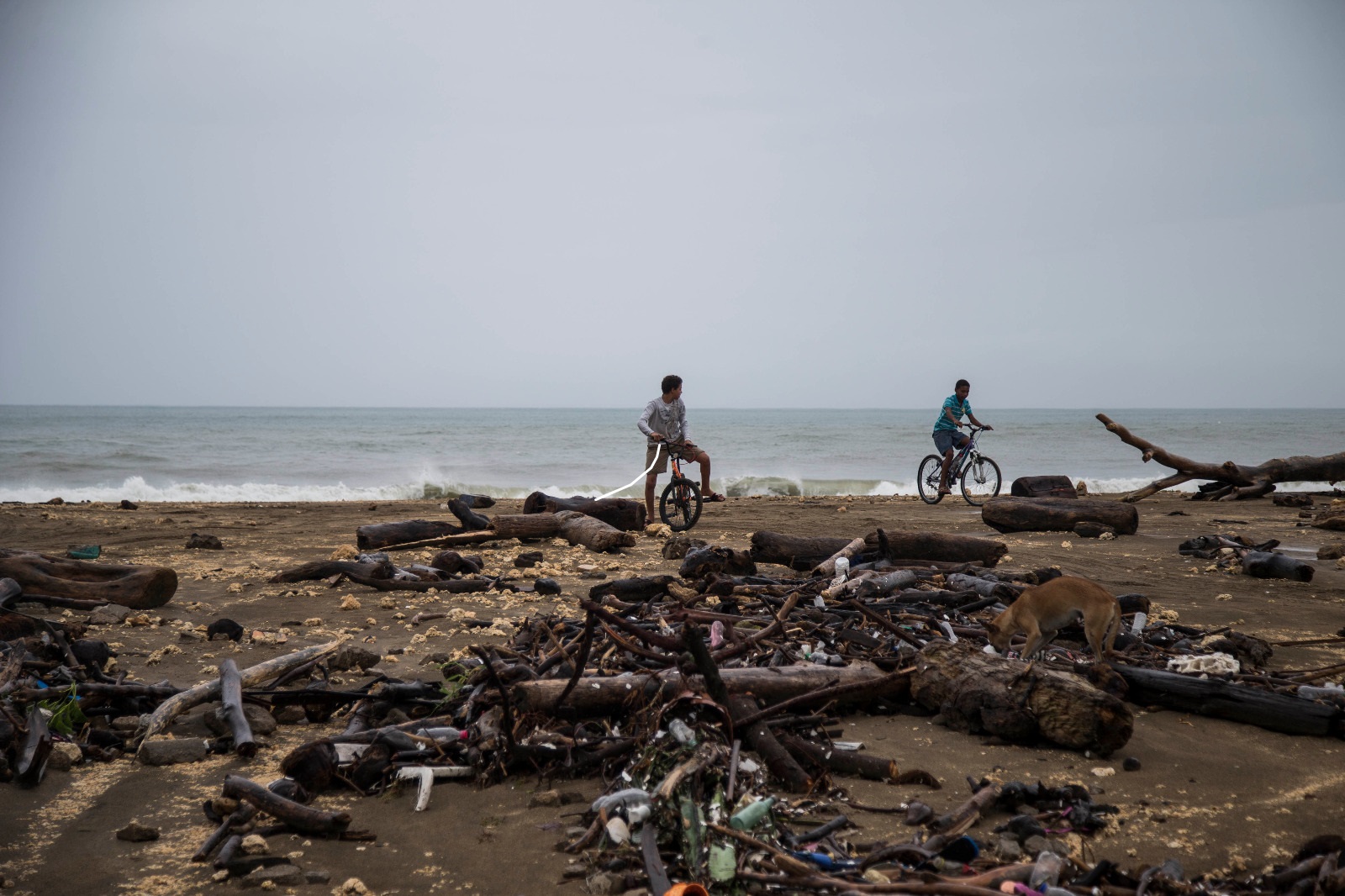  El mar entró al municipio de Nagua, María Trinidad Sánchez,  y trajo consigo mucha basura,  troncos de madera y  escombros que quedaron al descubierto al bajar el oleaje.