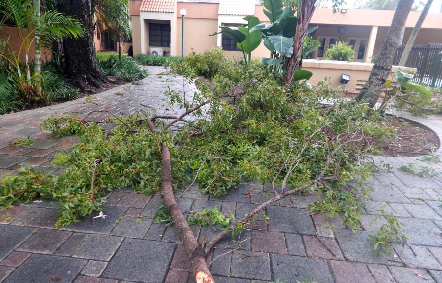 Miami escapa al golpe del ojo de Irma, que azotará los Cayos el domingo 