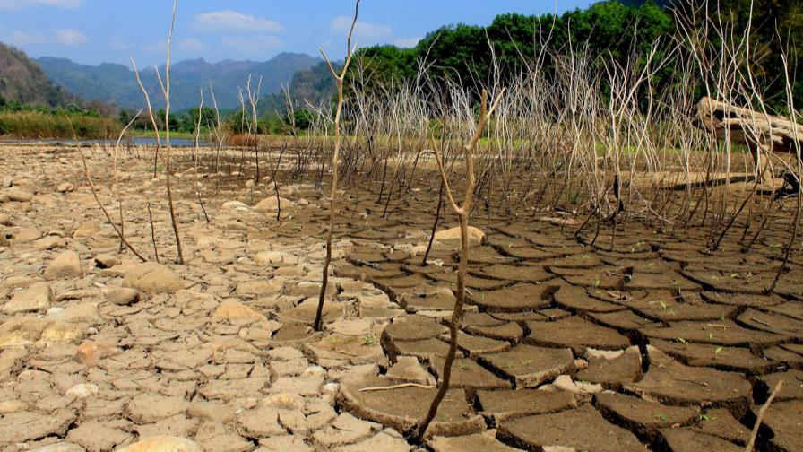 Experto en economía verde: “Cambio climático es una lucha por supervivencia”