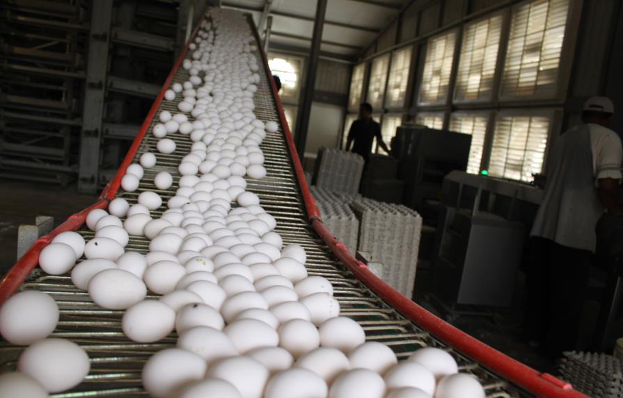Producción de huevos en RD genera RD$637.5 millones al mes