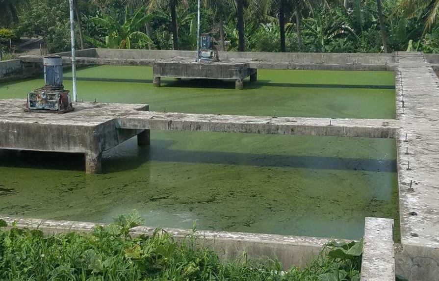Denuncian abandono  planta tratamiento del acueducto de Moca 
