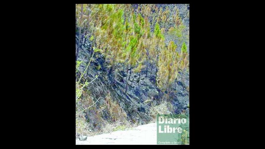 Más conatos de fuego en Cordillera Central