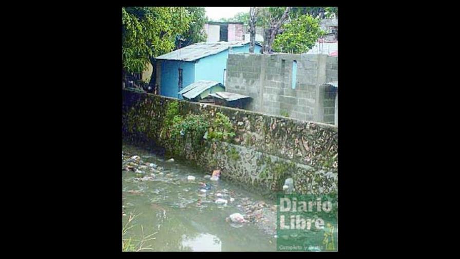 Las ratas y cucarachas son un problema en Los Ríos