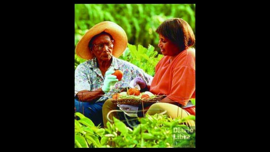 Cómo sembrar en casa lo que vamos a consumir