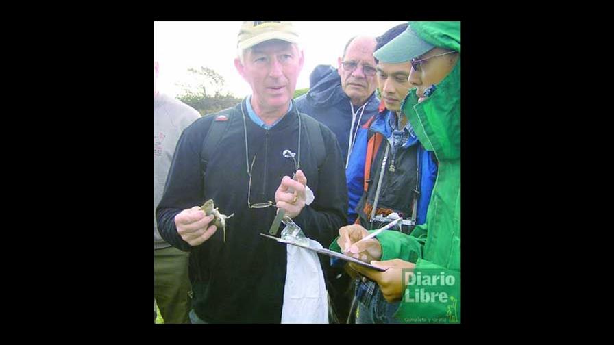 Cómo matar ratas con el Teorema de Pitágoras