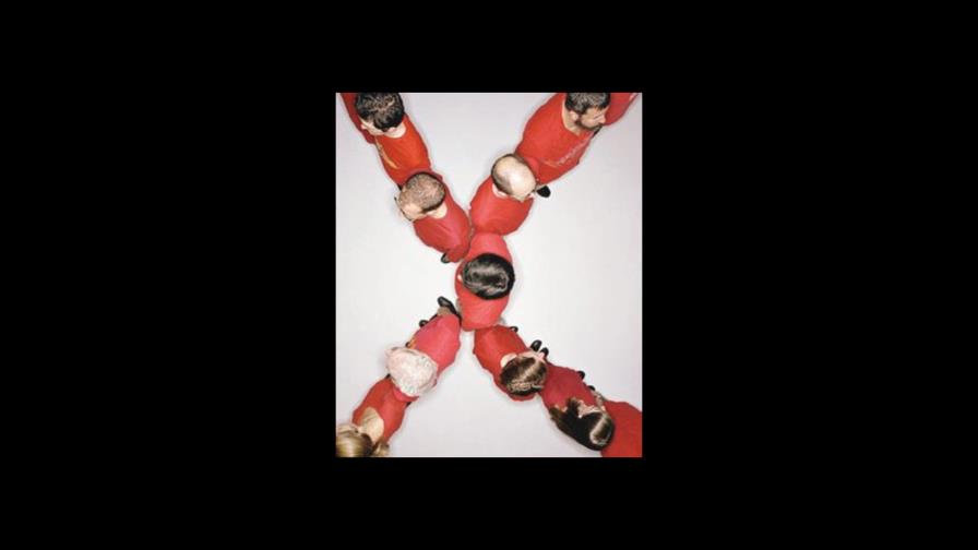 Células madre contra la calvicie Células madre contra la calvicie