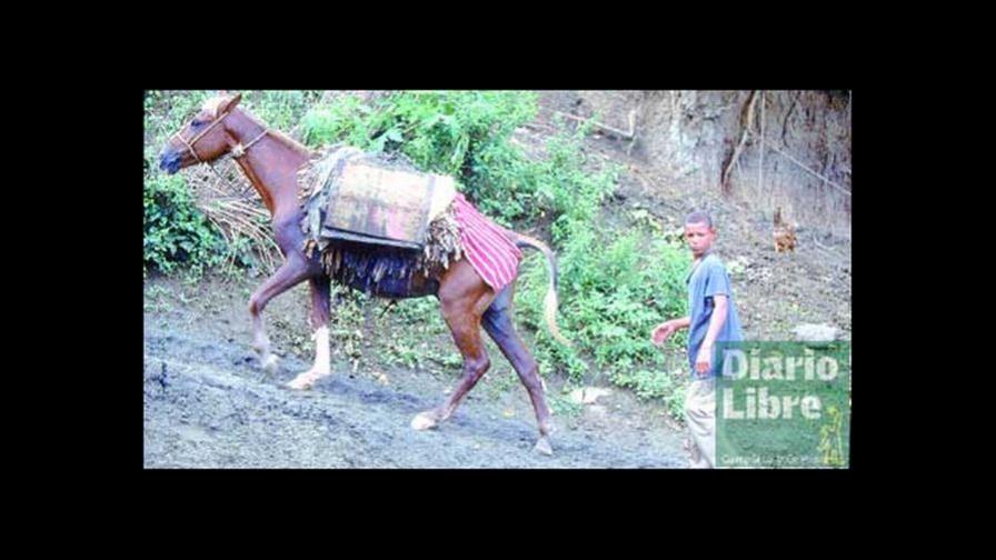 Una roca provee material sustituye el de los ríos Una roca provee material sustituye el de los ríos
