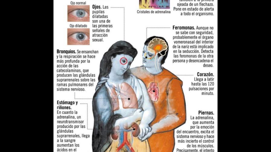 Estar enamorado es... Estar enamorado es...