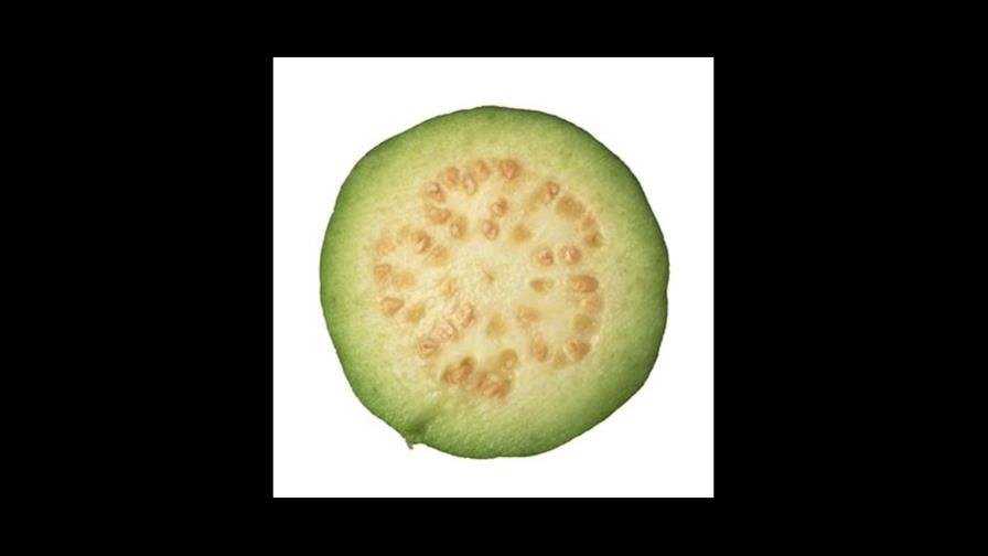 Guayaba
