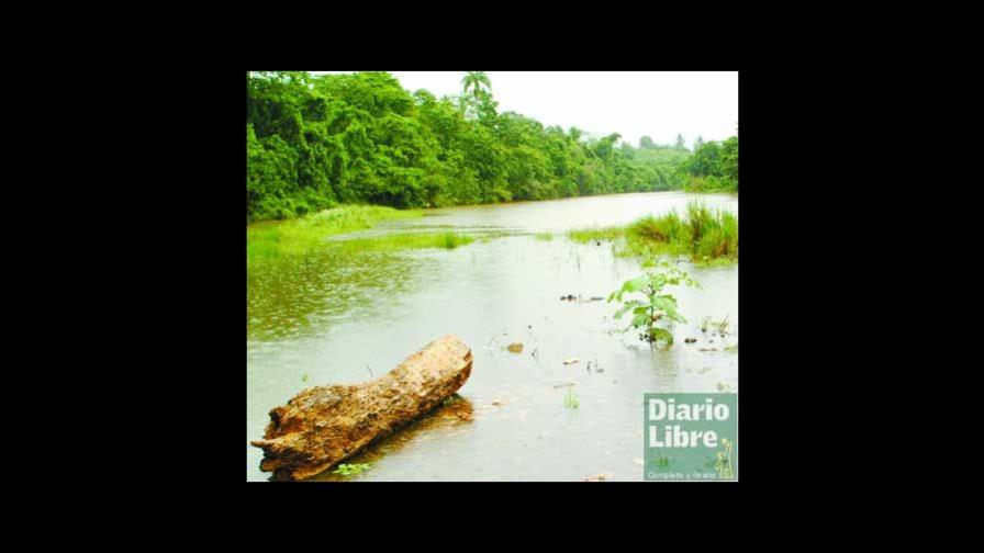 Daños a cinturón verde afectan fuentes de agua