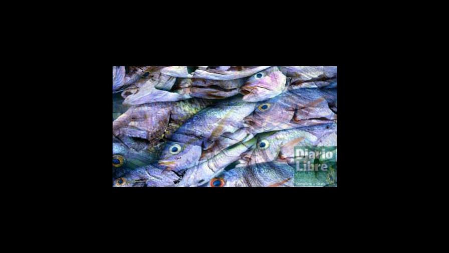 Domingo Batista y Evelin Espaillat, menciones honor en Premios Lucy